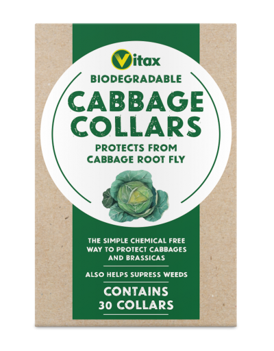Vitax Cabbage Collars -Pack of 30