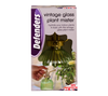 Defenders Vintage Glass Plant Mister 225ml