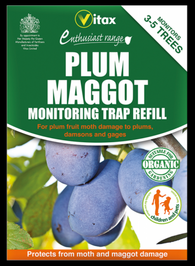 Vitax Plum Maggot Monitoring Trap