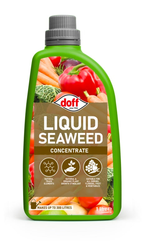 Doff Liquid Seaweed Concentrate 1L