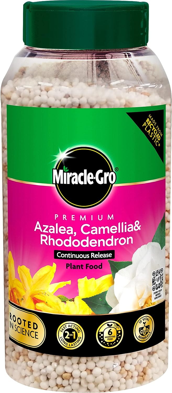 Miracle-Gro Azalea, Camellia & Rhododendron Continuous Release Plant Food 900g