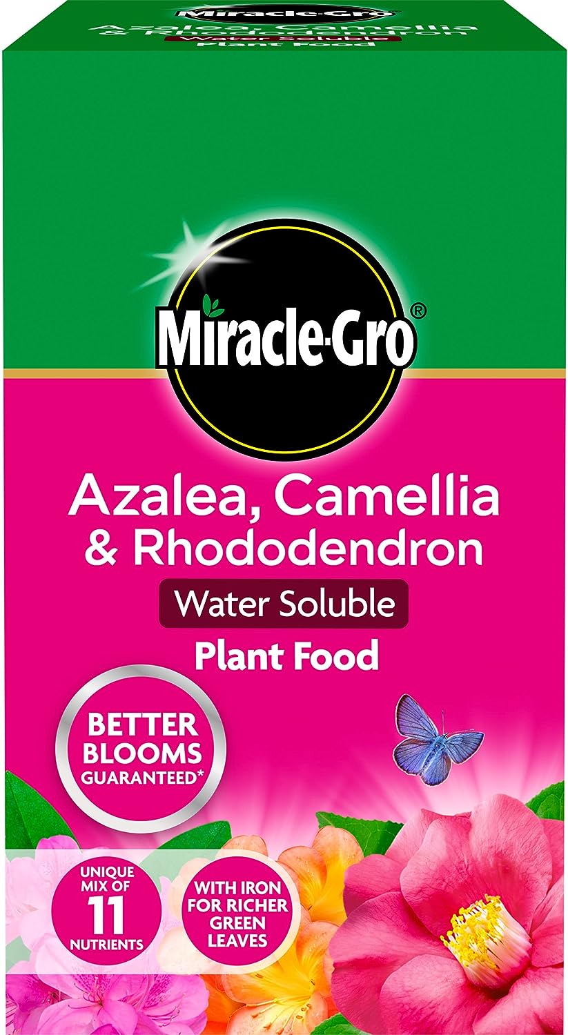 Miracle-Gro Azalea, Camellia & Rhododendron Water Soluble Plant Food 500g