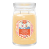 Yankee Candle Slopeside Spritz Signature Large Jar