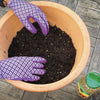 Miracle-Gro Premium All Purpose Continuous Release Plant Food 2kg Tub