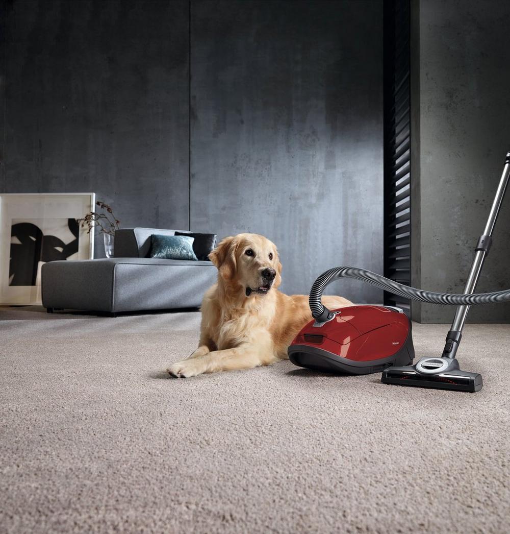 Miele Flex C3 Cat & Dog Red Cylinder Vacuum Cleaner, SGEF5