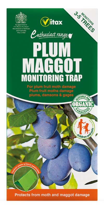 Vitax Plum Maggot Monitoring Trap