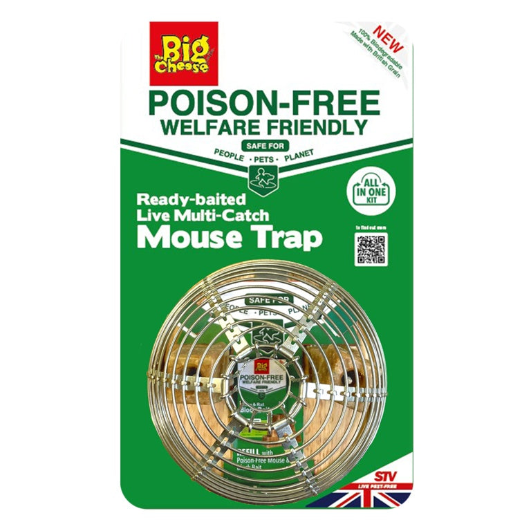 The Big Cheese Poison Free Ready Baited Live Mouse Trap - Silver