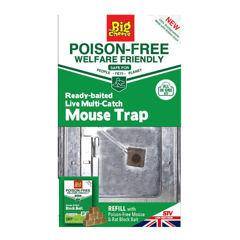 The Big Cheese Poison Free Ready Baited Live Multi Catch Mouse Trap
