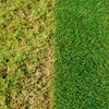 Miracle-Gro Complete 4-in-1 Lawn Feed & Weed 80m2 Spreader