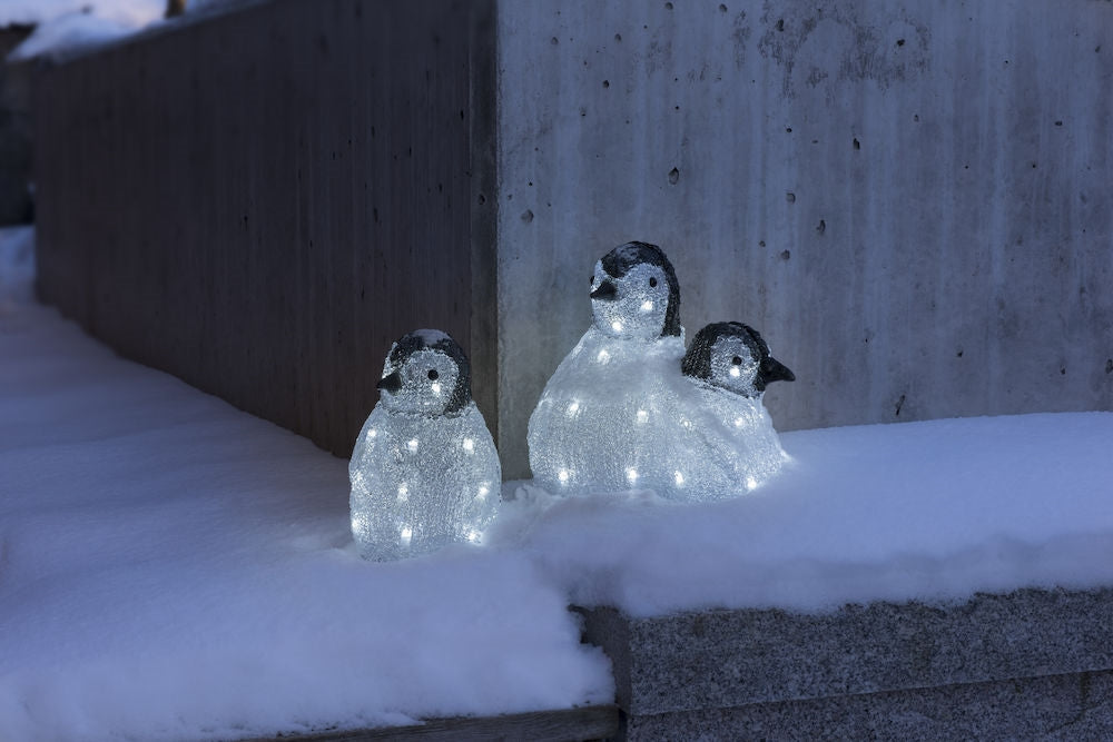 Acrylic Penguin Family LED – Ample