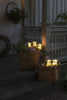 Acrylic Pigs 5pcs/set LED