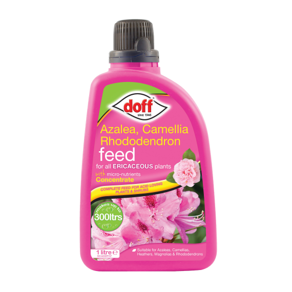Doff-Azalea-Camellia-&-Rhododendron-Feed-1L