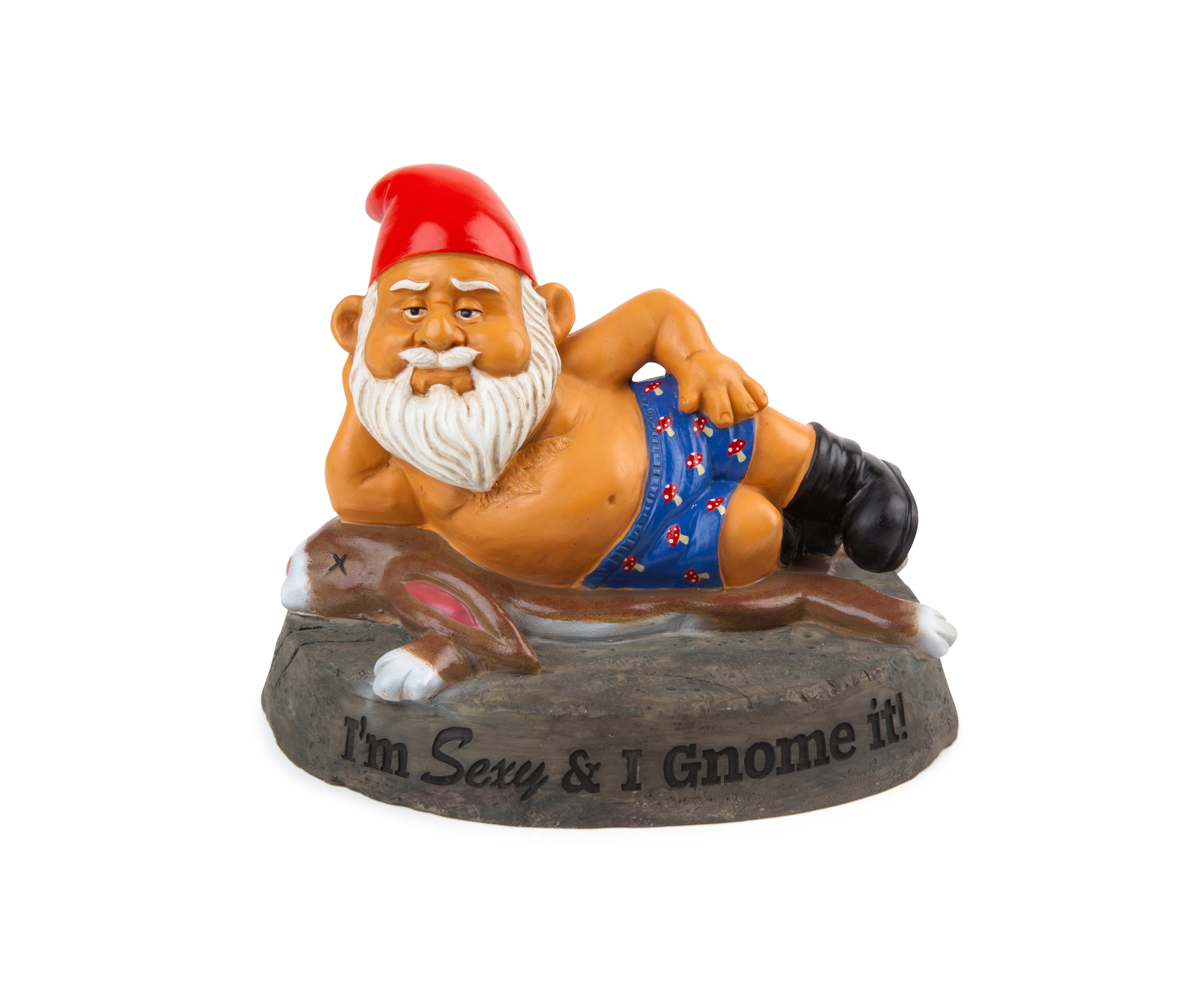 The-Sexy-&-I-Gnome-It-Garden-Gnome
