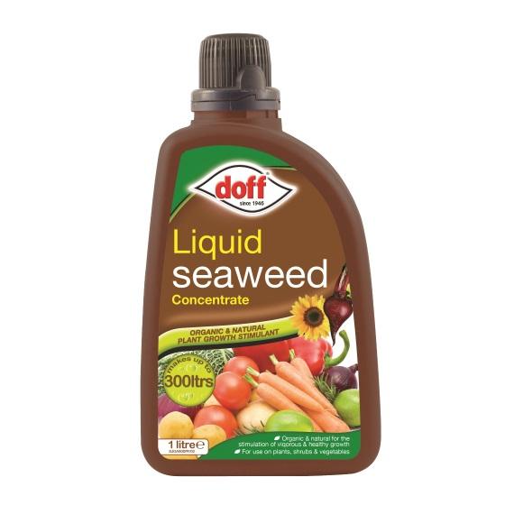 Doff-Liquid-Seaweed-1L