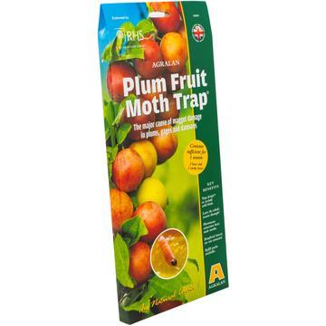 Agralan-Plum-Moth-Trap