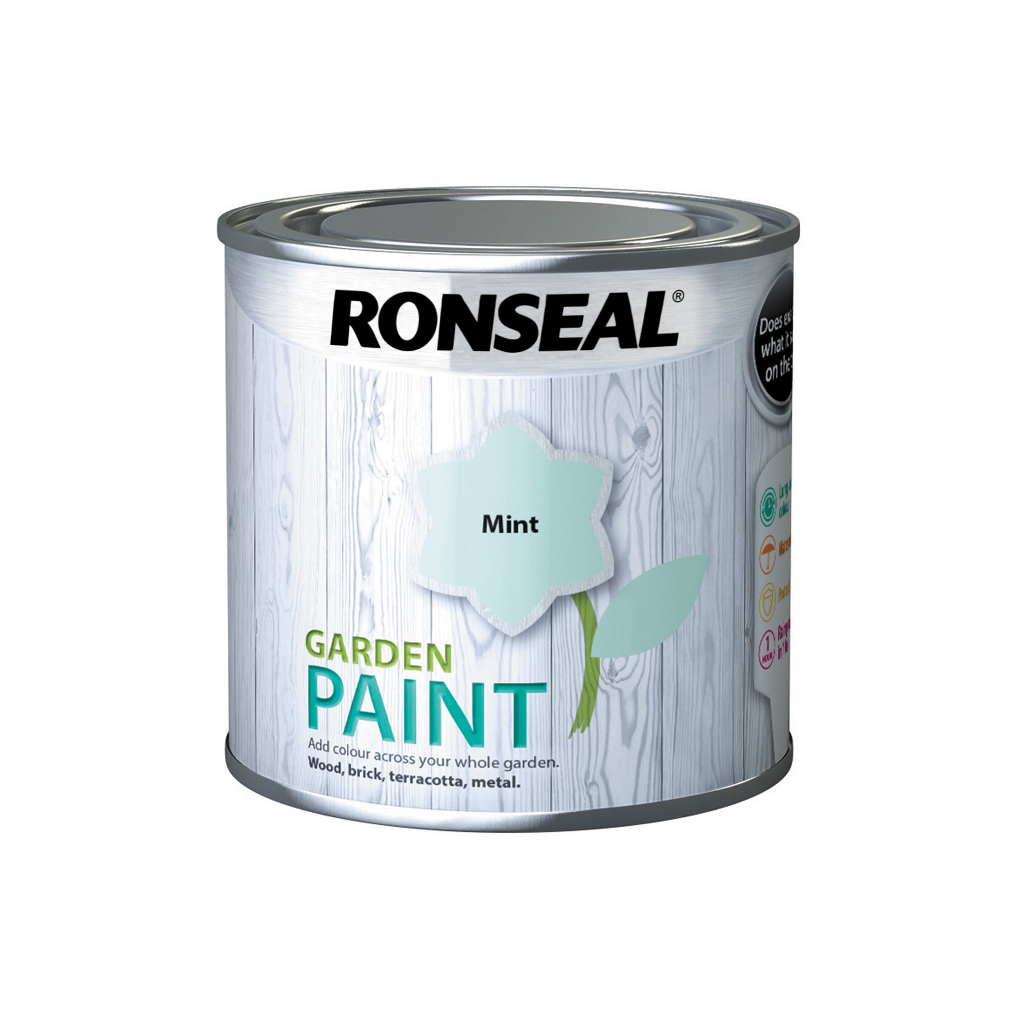 Ronseal-Garden-Paint-Mint-250ml