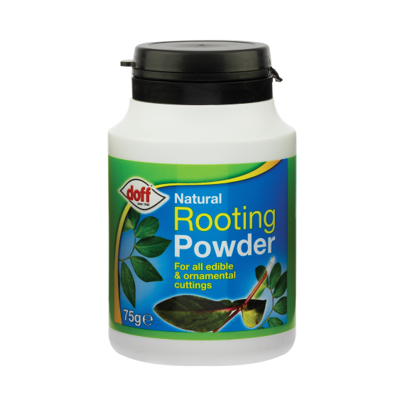 Doff-Natural-Rooting-Powder-75g