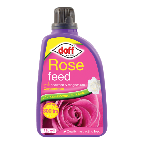 Doff-Rose-Feed-1L
