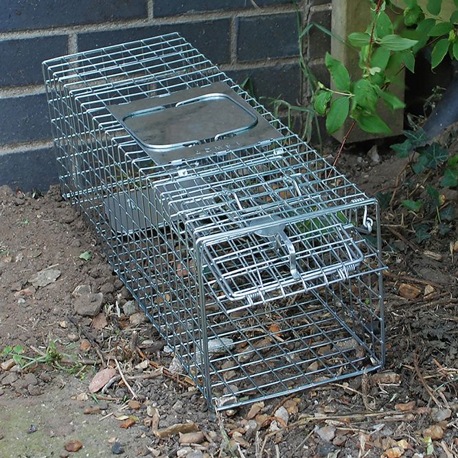 Cheese Wheel Rabbit Trap Big Cheese Animal Trap - Small Cage – Ample