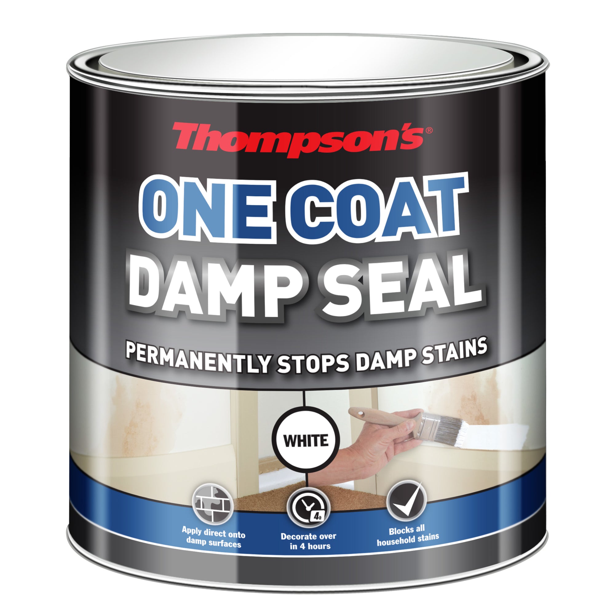 Thompsons-One-Coat-Damp-Paint-Seal-2.5L