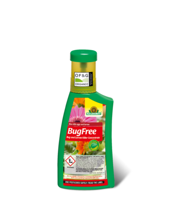 BugFree-Bug-and-Larvae-Killer-Concentrate-250ml