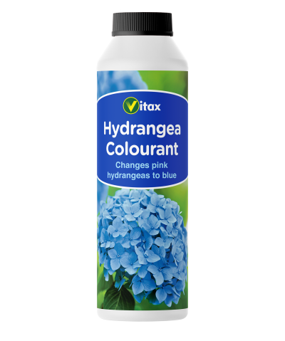 Vitax-Hydrangea-Colourant-Changes-Pink-To-Blue-500g