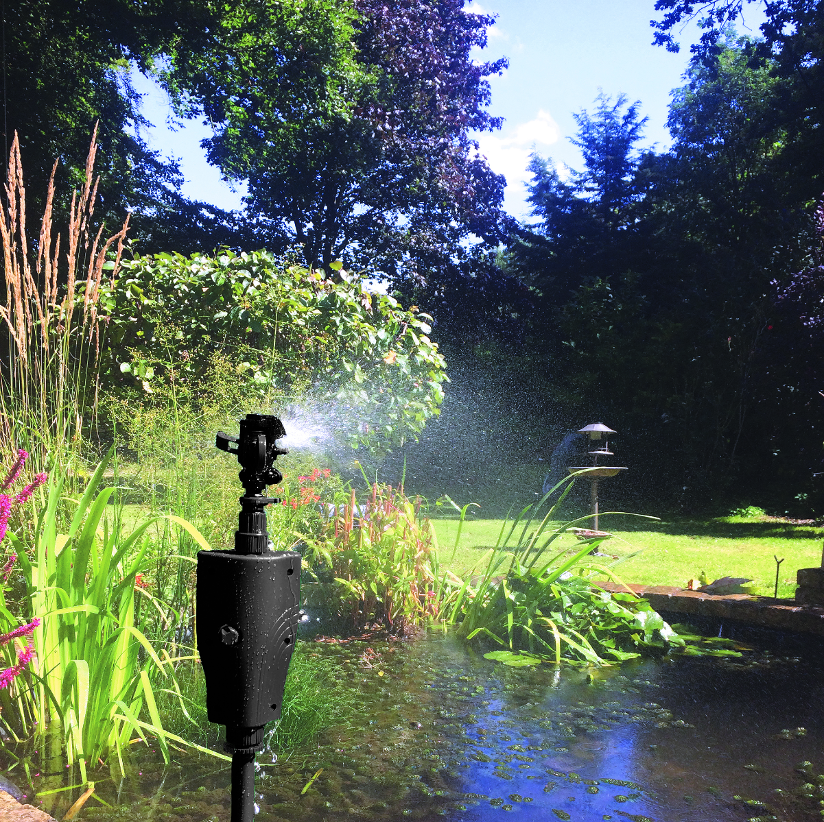 Big Cheese Jet-Spray Pond & Garden Protector