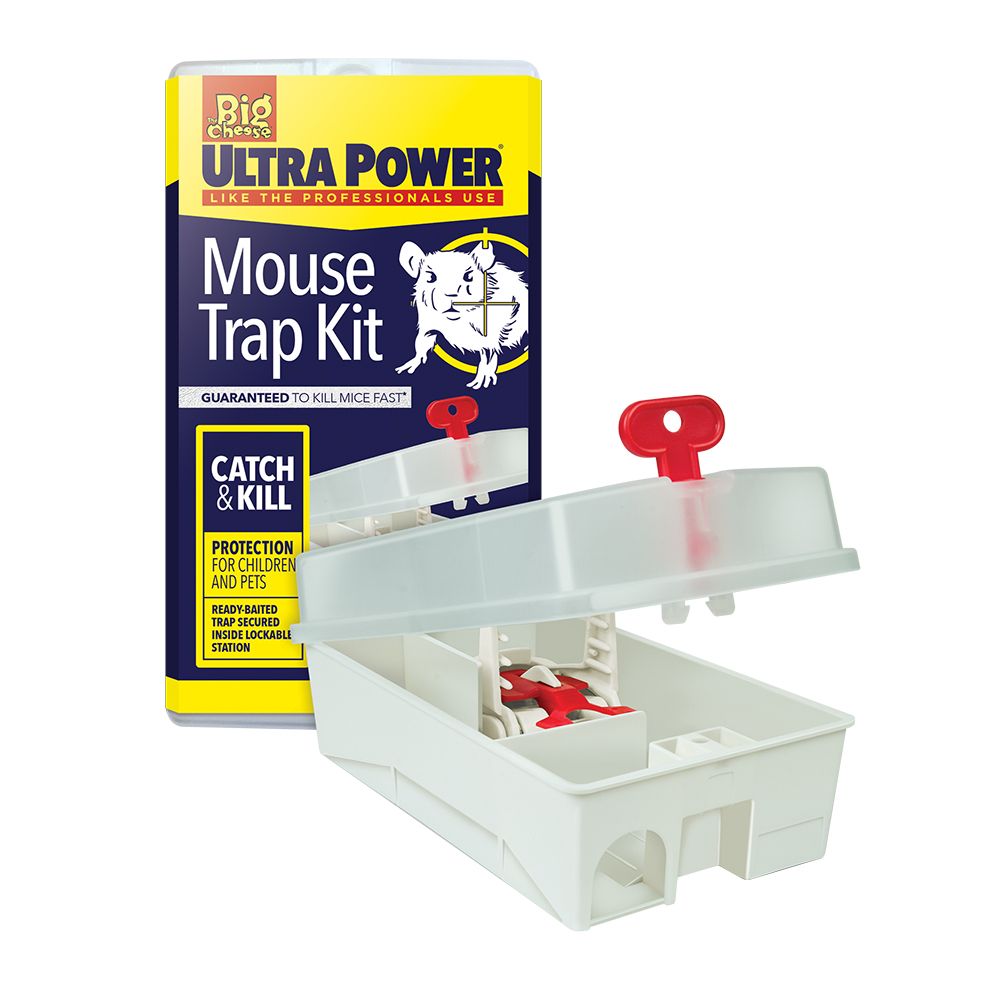 Big-Cheese-Ultra-Power-Mouse-Trap-Kit
